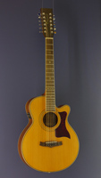 Tanglewood 12-string acoustic folk guitar, cedar, sapeli-mahogany, cutaway, pickup