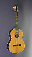 Höfner Greenline, classical guitar, scale 65 cm, thermo-spruce, smoked larch