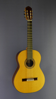 Daniele Chiesa Luthier Guitar cedar, rosewood, 2013