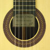 Daniele Chiesa spruce, rosewood, small model, scale 64 cm, 2012, rosette, label