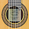 Rosette and label of guitar built by German guitar maker Felix Müller, classical guitar with cedar top and back and sides made of rosewood, 65 cm scale, year 2020