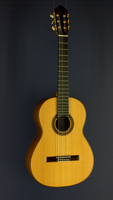 Jochen Rothel Luthier Guitar cedar, rosewood, year 2009