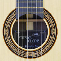 Stefanos Poligenis luthier guitar spruce (double top latice bracing), rosewood, year 2023, rosette, label