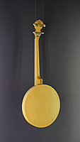 Tanglewood 4-string-Banjo, back view