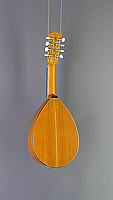 Spanish Mandolin, flat corpus with solid cedar top an sapeli on back and sides, back