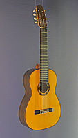 8-string Spanish classical guitar spruce, rosewood
