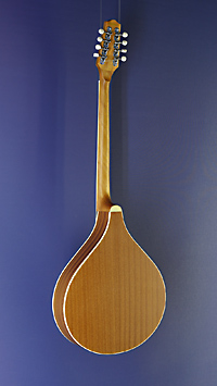 Irish Bouzouki Richwood, Rückseite