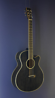 Tanglewood Black Shadow Winterleaf, schwarz lackierte Akustikgitarre mit Pickup in Folk-Form mit massiver Fichtendecke und Mahagoni an Zarge und Boden, mit Cutaway