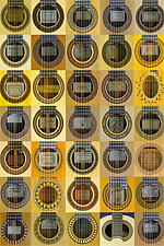Rosettes and labels of guitar makers and luthier guitars