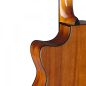 Preview: Acoustic Guitar with pickup J. N. Bessie natural, back view