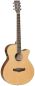 Preview: Akustikgitarre mit Tonabnehmer Tanglewood TW9 Super Folk Winterleaf, Gitarre mit massiver Zederdecke