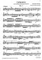 Preview: Anonymus: Galanterie for Baroque Mandolin solo, sheet music sample