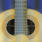 Preview: Hein Guitars, classical guitar spruce rosewood, after F. Simplicio and Santos Hernandez, luthier guitar, rosette, label