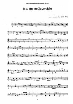 Landau, Hans W.F.: Faszination Mandolin, Pieces for all Occasions, sheet music sample