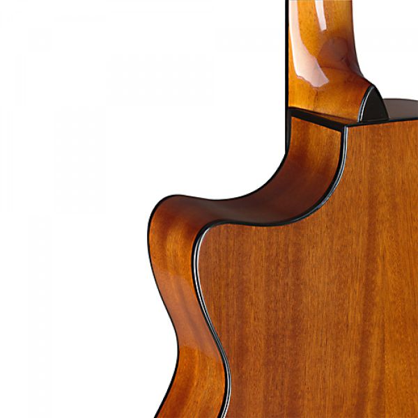 Acoustic Guitar with pickup J. N. Bessie natural, back view