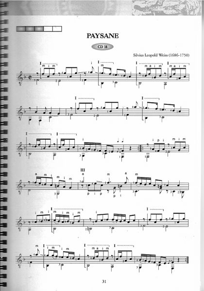 Saitenwege, der leichte Einstieg von Michael Langer, guitar music of 5 centuries, sheet music sample